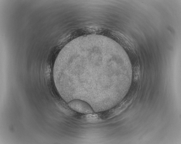 X0000115400279200912011211