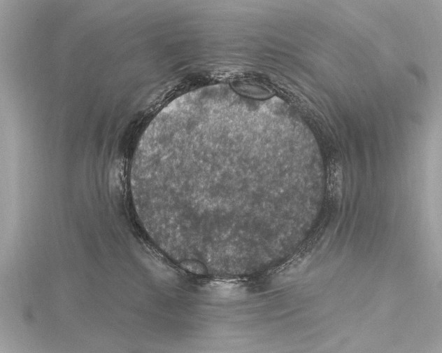 X0000115400280200912011211