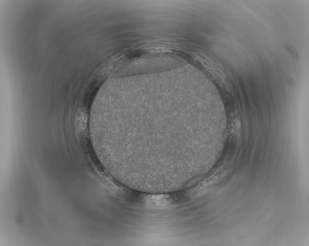 X0000115400281200912011211