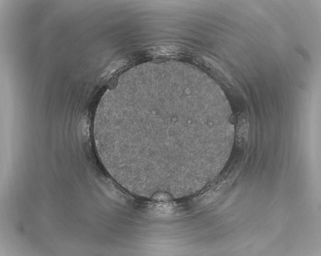 X0000115400282200912011211