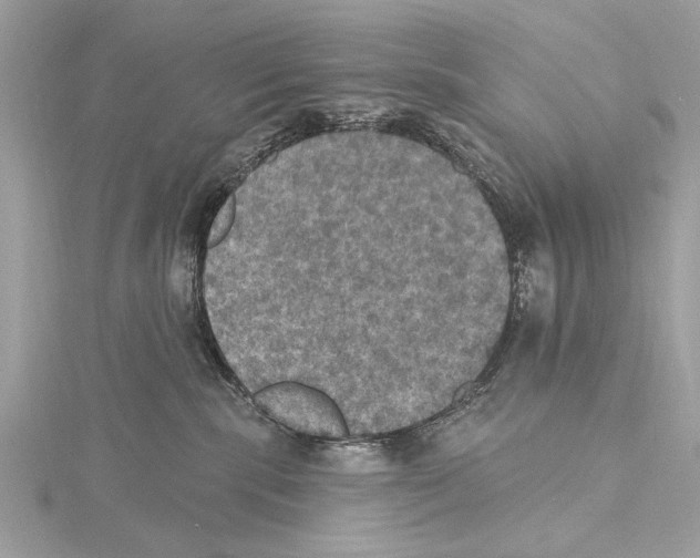 X0000115400283200912011211