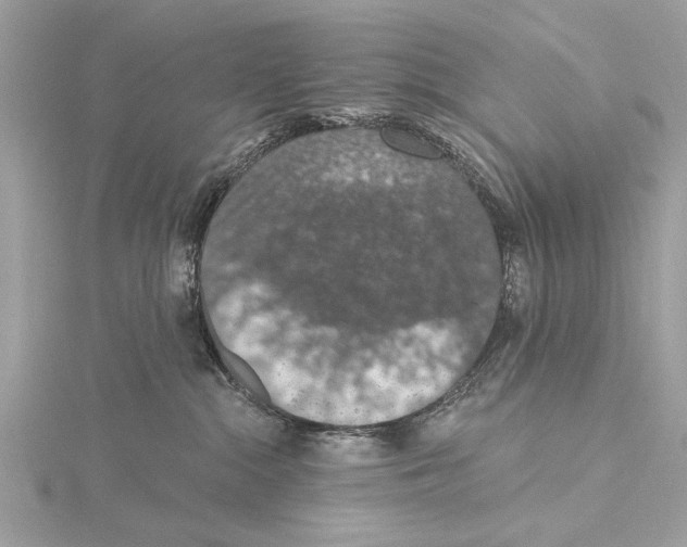 X0000115400284200912011211