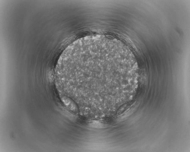 X0000115400285200912011211