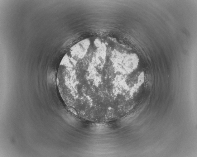 X0000115400286200912011211