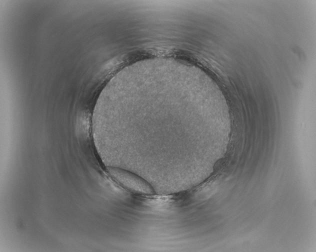 X0000115400288200912011211