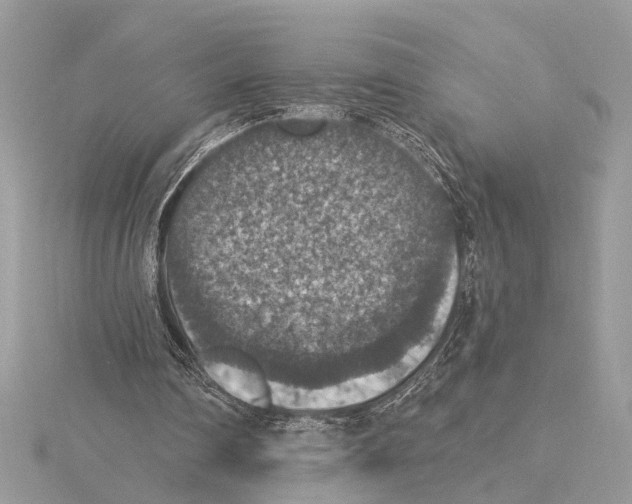 X0000115400290200912011211