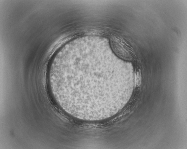 X0000115400291200912011211