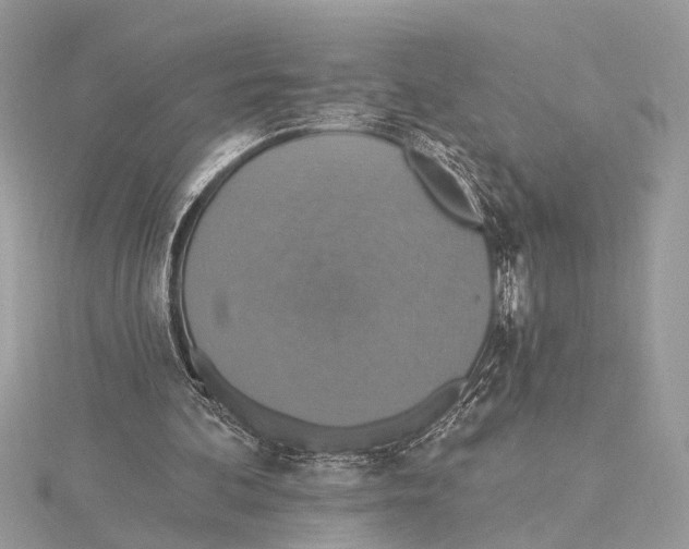 X0000115400292200912011211