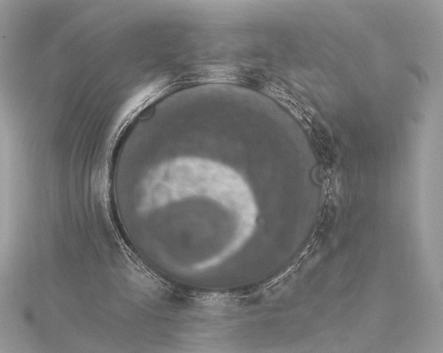 X0000115400293200912011210