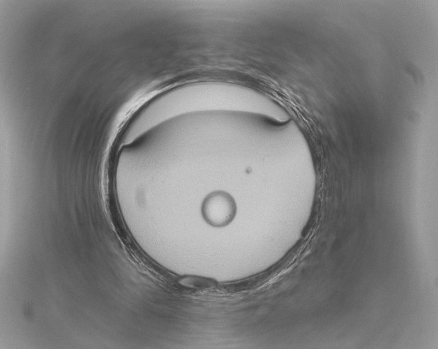 X0000115400294200912011210