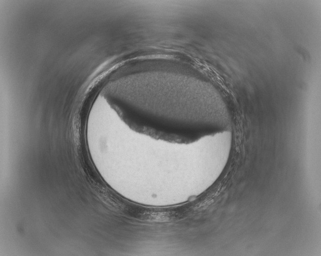 X0000115400295200912011210