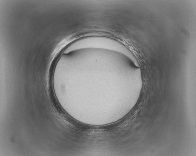 X0000115400296200912011210