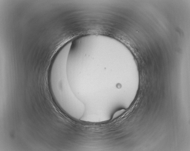 X0000115400297200912011210