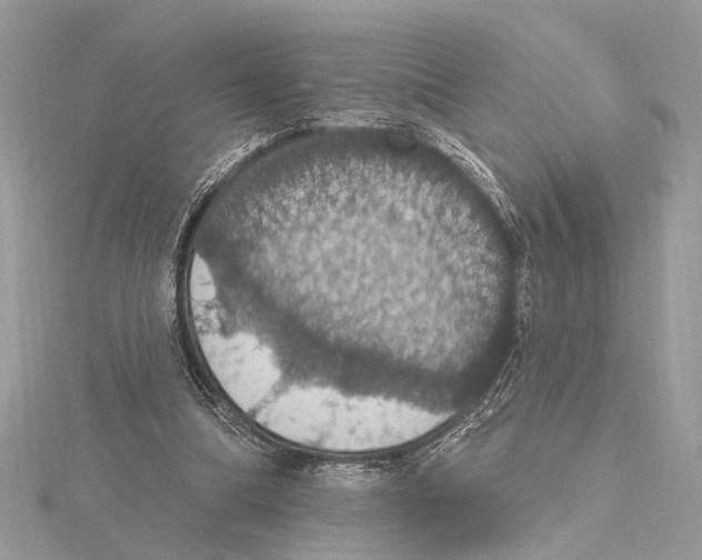 X0000115400298200912011210