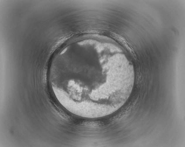 X0000115400299200912011210