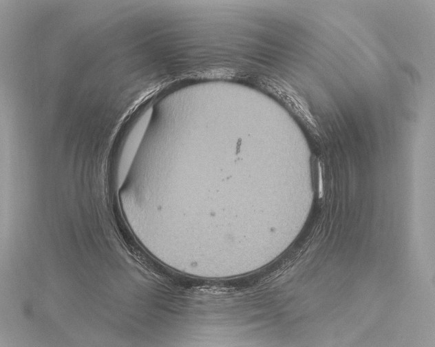 X0000115400300200912011210