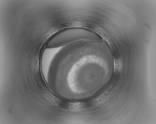 X0000115400301200912011210