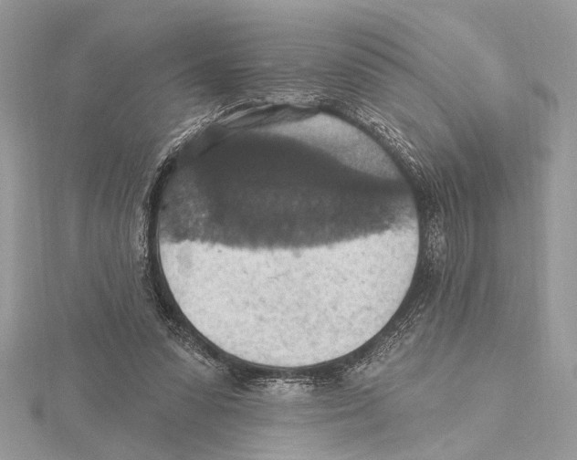 X0000115400303200912011210