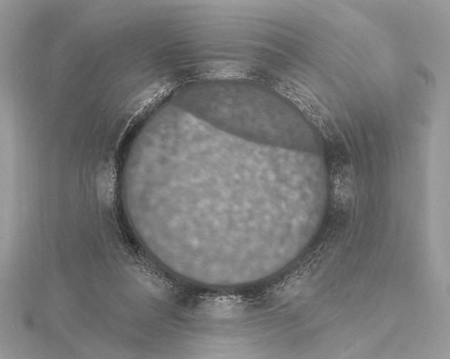 X0000115400304200912011210