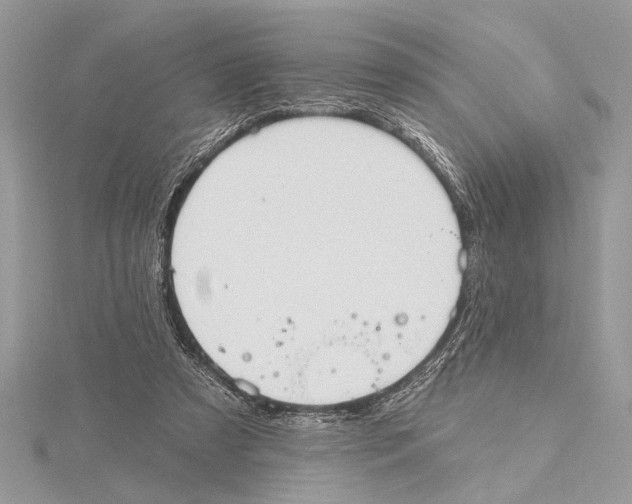 X0000115400305200912011210