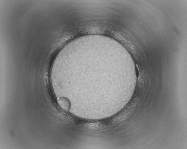 X0000115400306200912011210