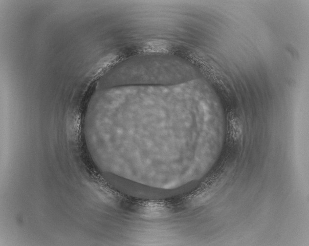 X0000115400308200912011210