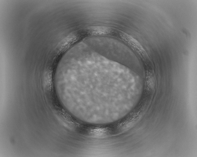 X0000115400312200912011210