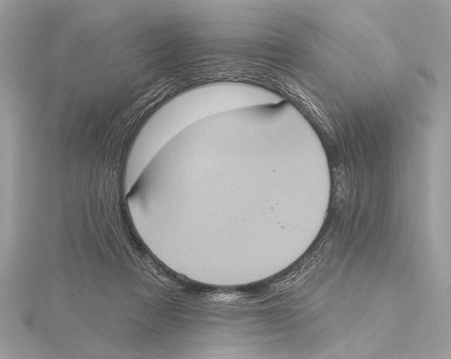 X0000115400313200912011210