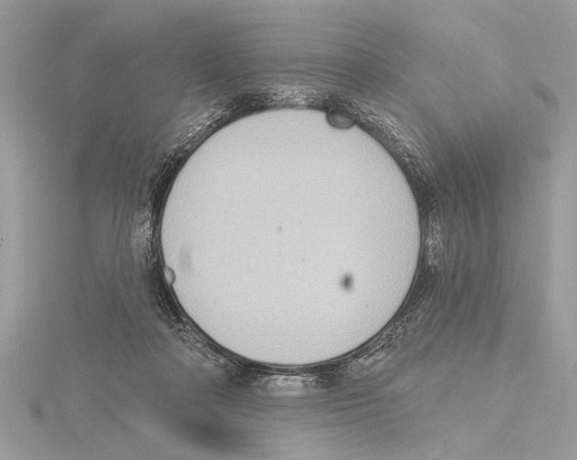 X0000115400314200912011210