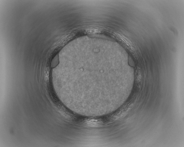 X0000115400315200912011210