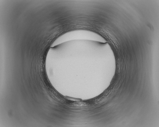 X0000115400316200912011210