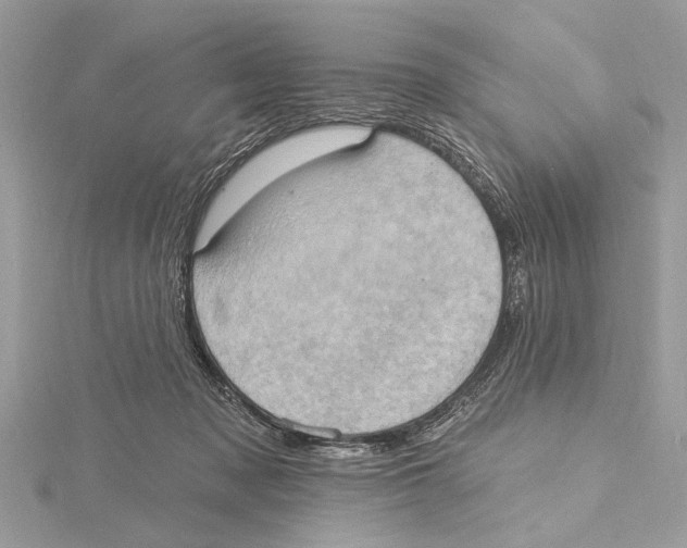 X0000115400317200912011210