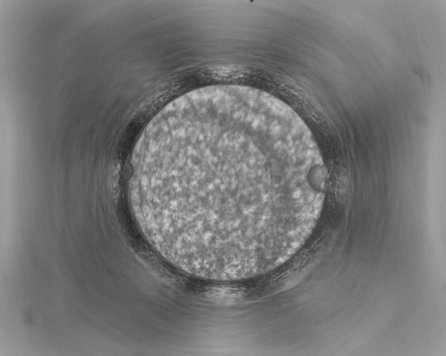 X0000115400319200912011210