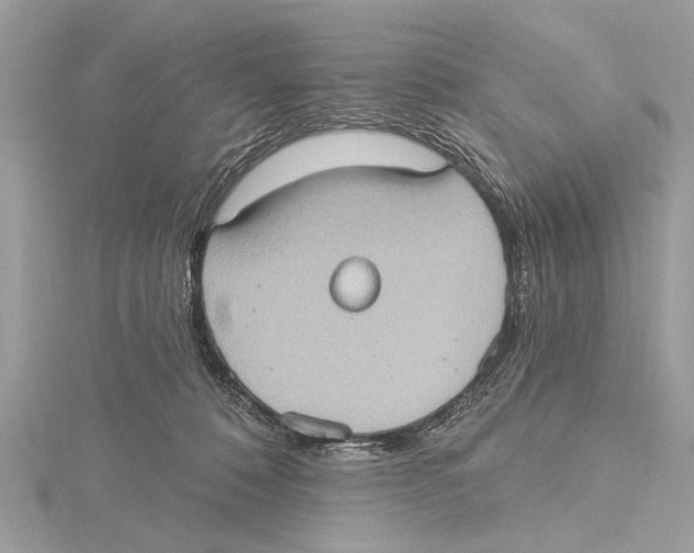 X0000115400320200912011210