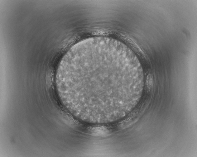 X0000115400322200912011210