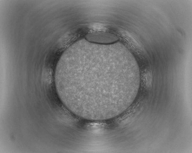 X0000115400323200912011210