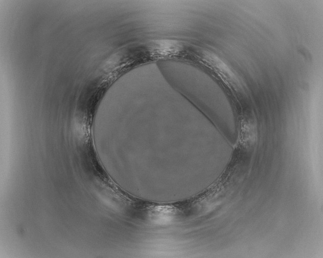 X0000115400324200912011210