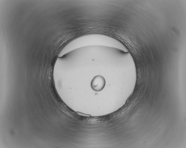 X0000115400325200912011210