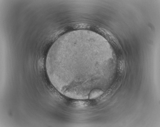 X0000115400326200912011210