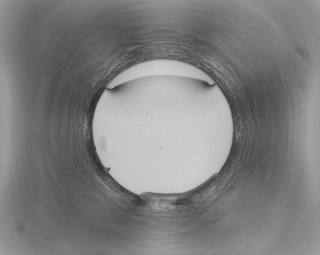 X0000115400327200912011210