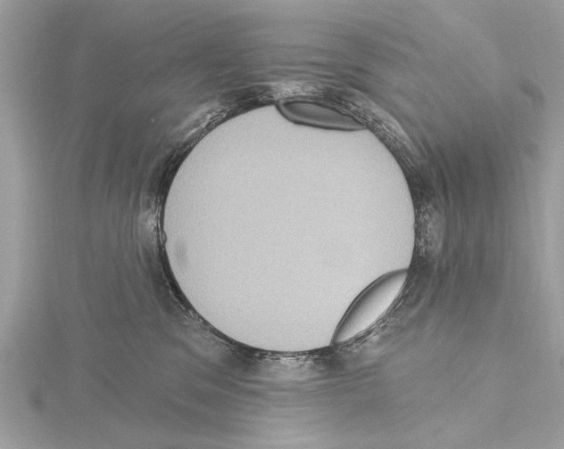 X0000115400329200912011210