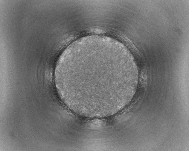 X0000115400330200912011210