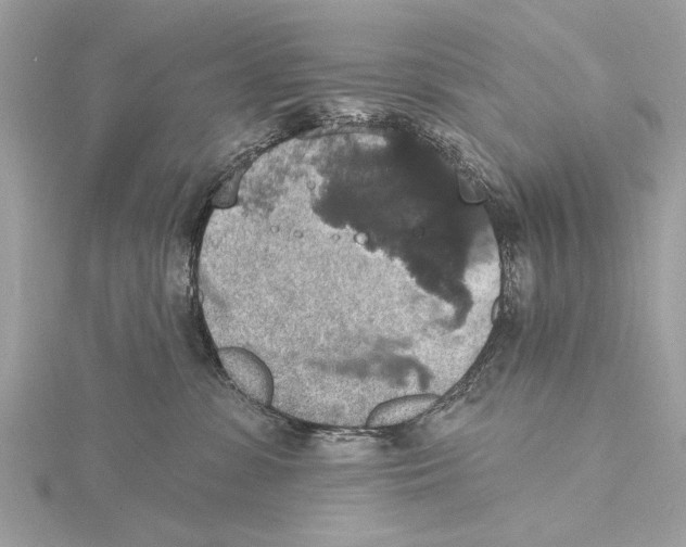 X0000115400331200912011210