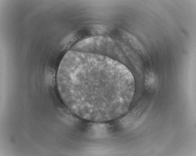 X0000115400332200912011210