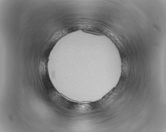 X0000115400333200912011210