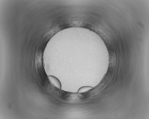 X0000115400334200912011210