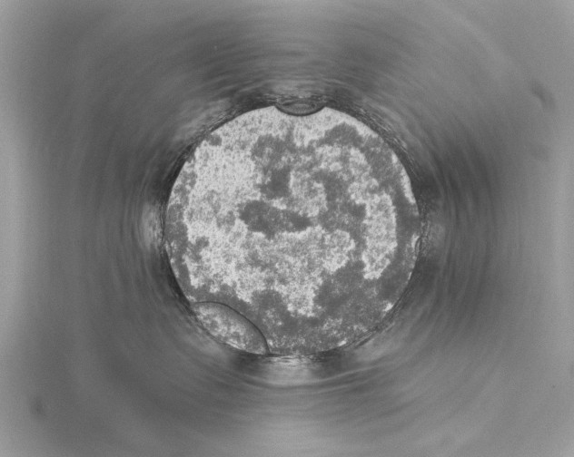 X0000115400335200912011210