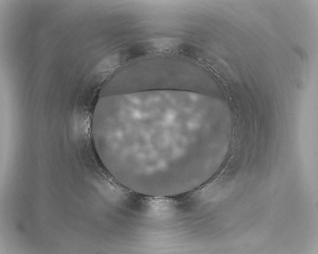 X0000115400336200912011210