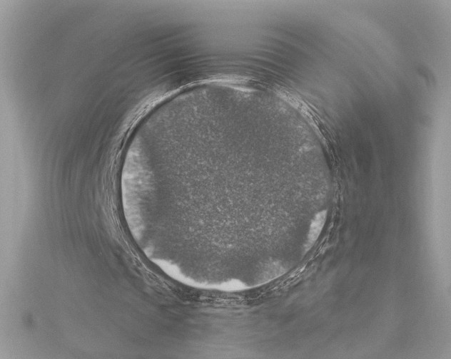 X0000115400337200912011209