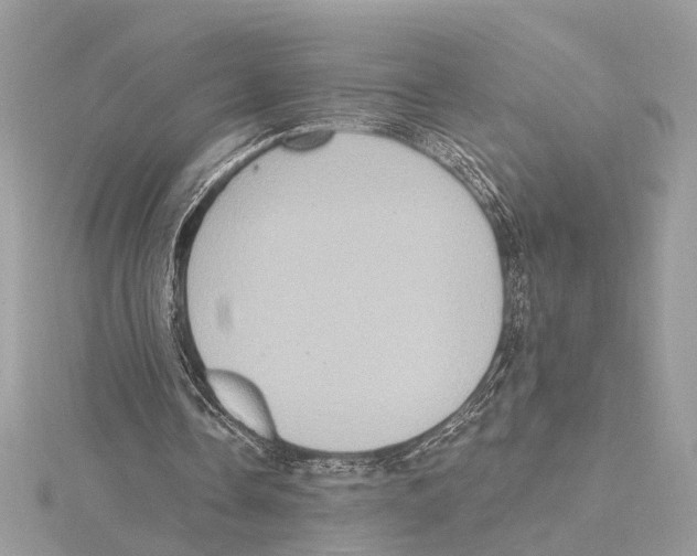 X0000115400338200912011209